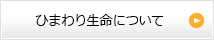 損保ジャパン日本興亜ひまわり生命について